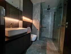 Irwell Hill Residences (D9), Apartment #460285531